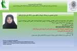 پایداری جمعیتی در روستاها، شهرها و مناطق مرزی  و اتحاد ملی برای ایران قوی 